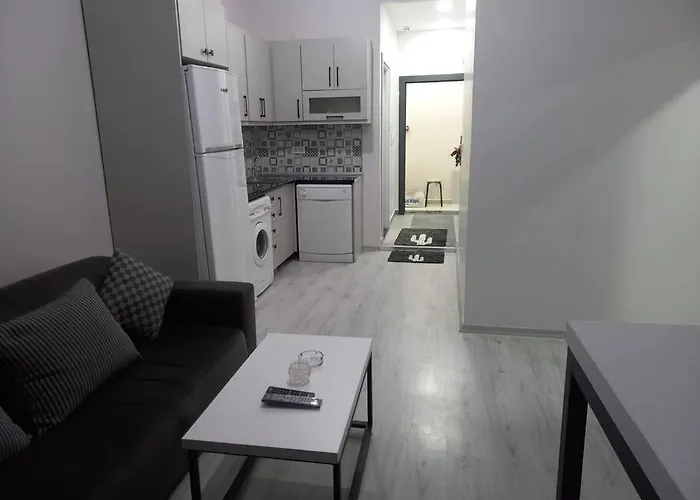*новая 1+1 Mecidiyekoey Apartment Istanbul